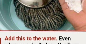 WhatsApp Image 2025 10 06 at 11.45.23 f7f46669