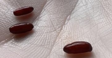 547691324 1832178997510593 1521987761122020416 n