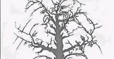 608446690 1300581278773111 1422230570194188296 n