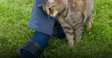 633365550 122108926353225827 5581198439955329965 n